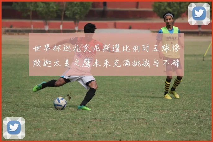 世界杯巡礼突尼斯遭比利时五球惨败迦太基之鹰未来充满挑战与不确定性